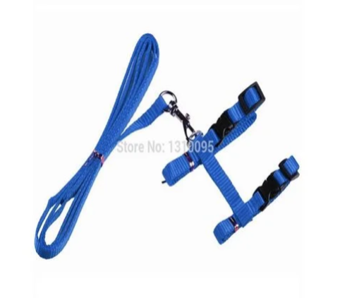 Cat Kitten Leash and Harness Set Nylon Chest Strap Portable Collar